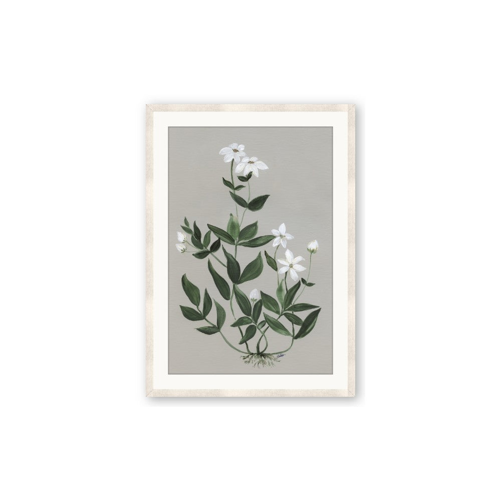 White flower III
