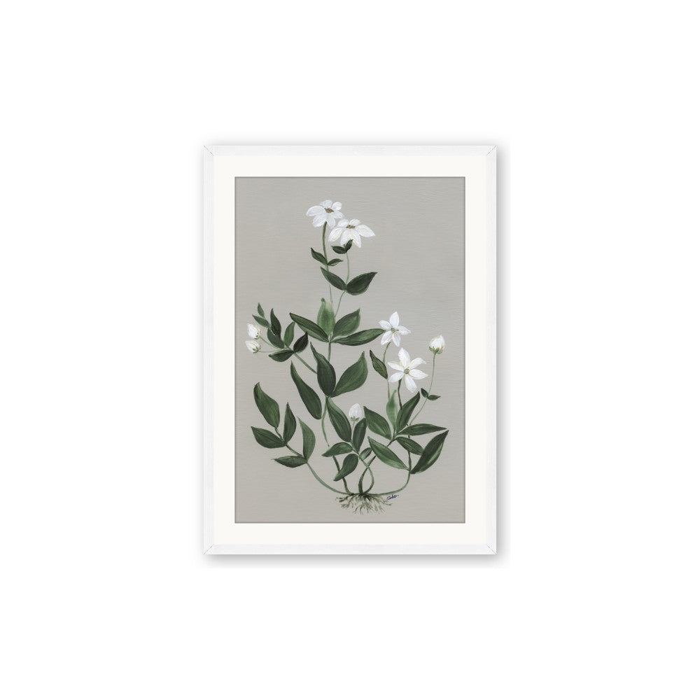 White flower III