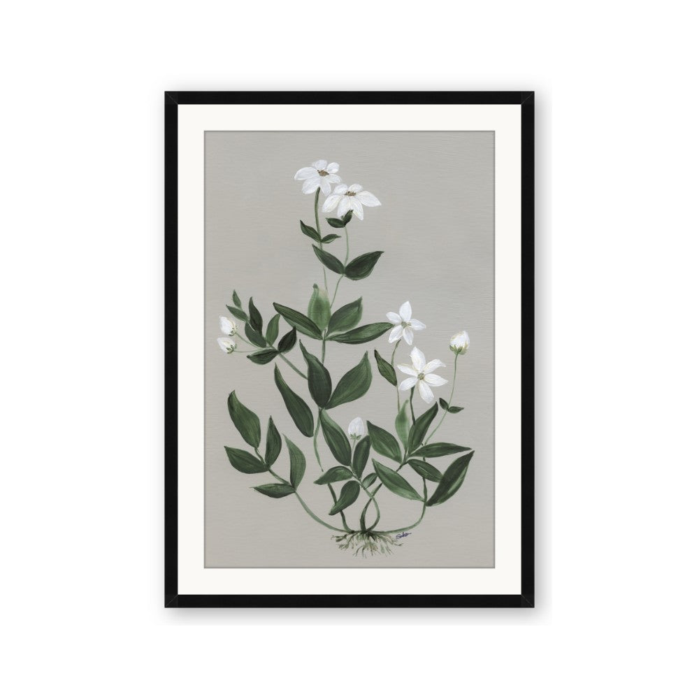 White flower III
