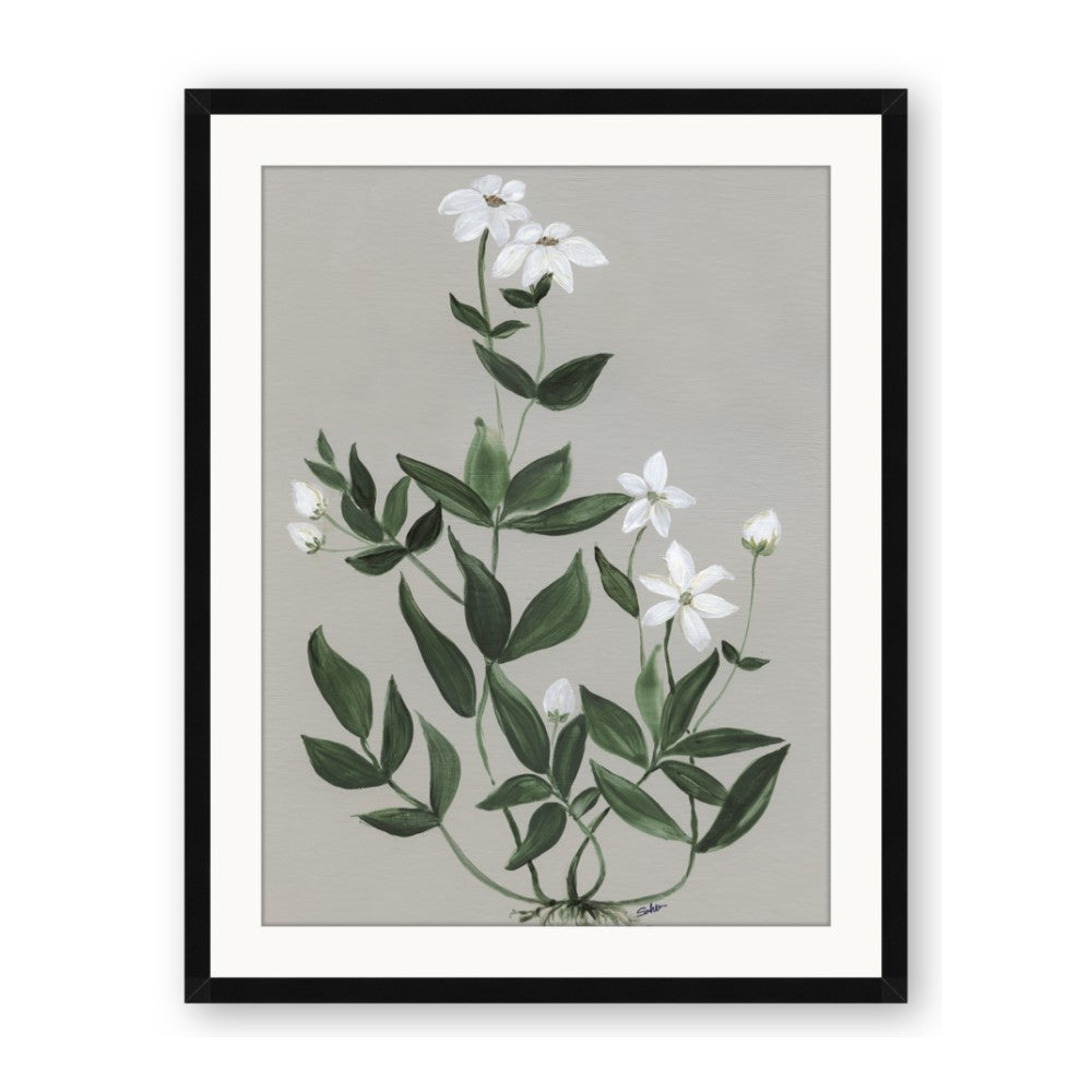 White flower III