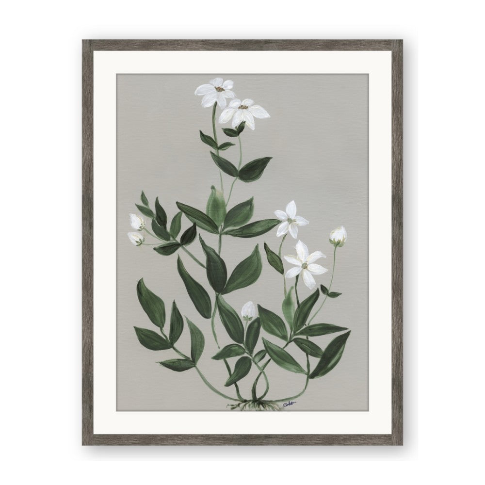 White flower III