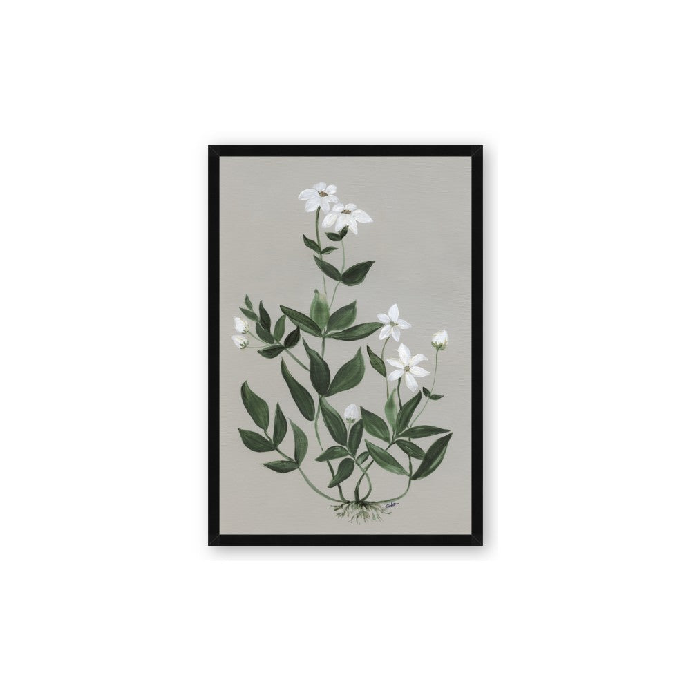 White flower III