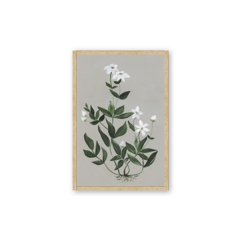 White flower III