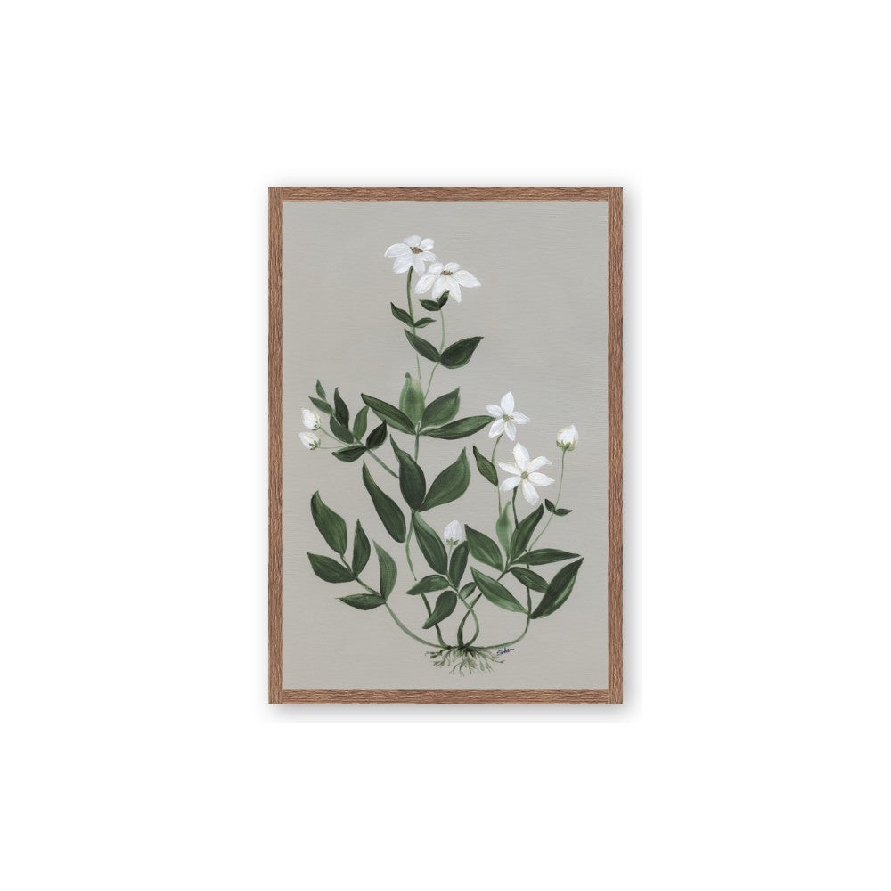 White flower III