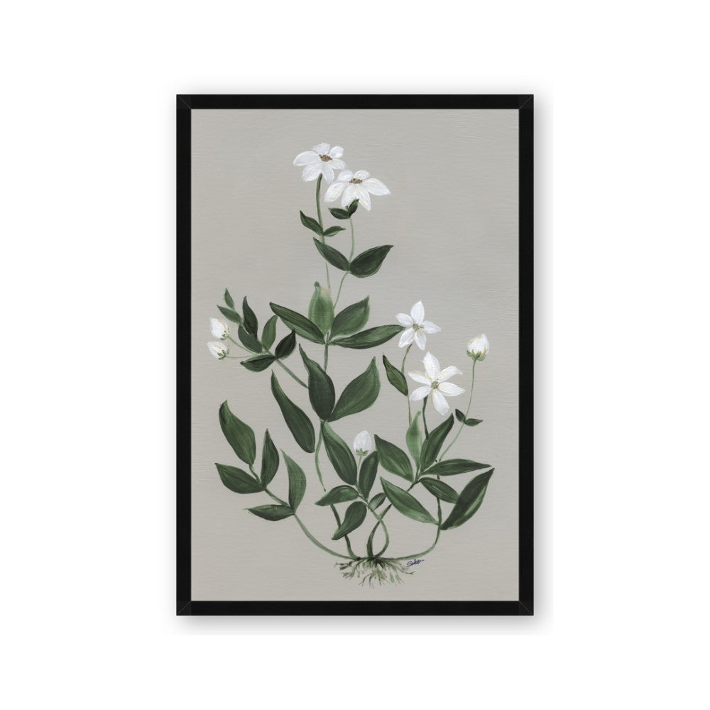 White flower III