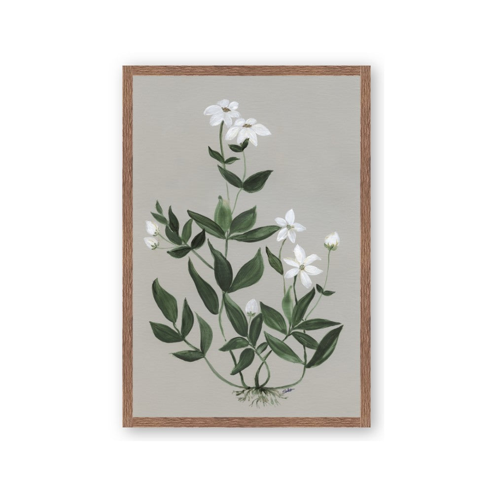 White flower III