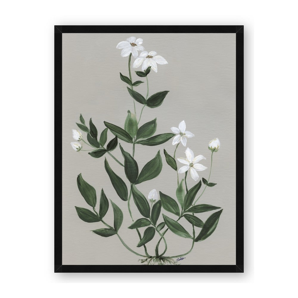 White flower III
