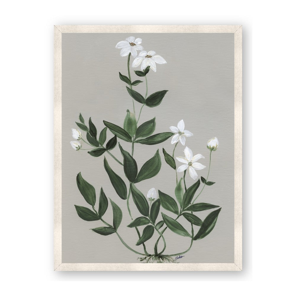 White flower III