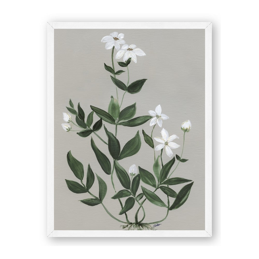 White flower III