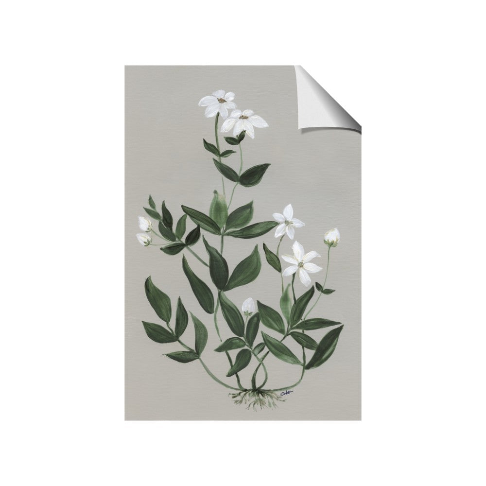 White flower III
