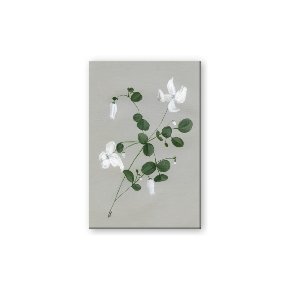 White flower IV