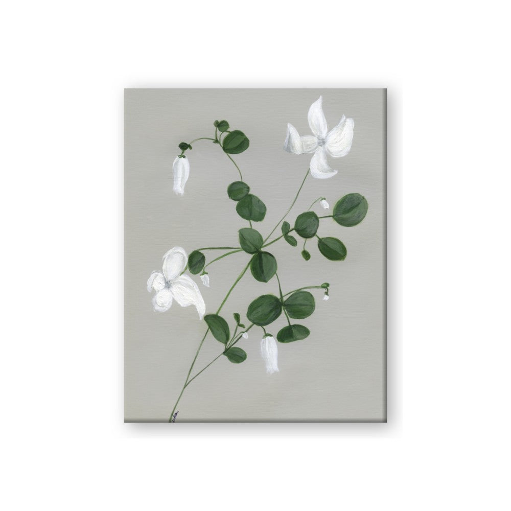 White flower IV