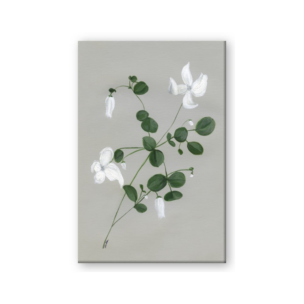 White flower IV