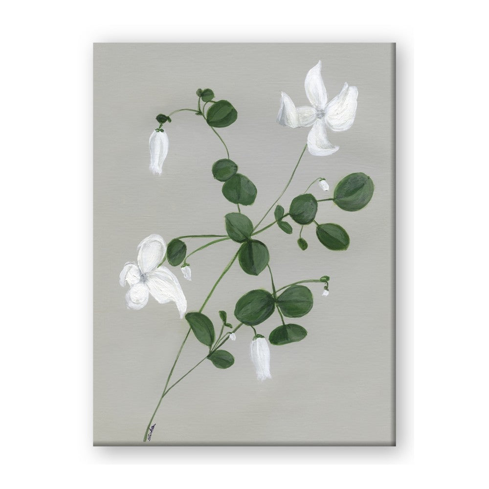 White flower IV