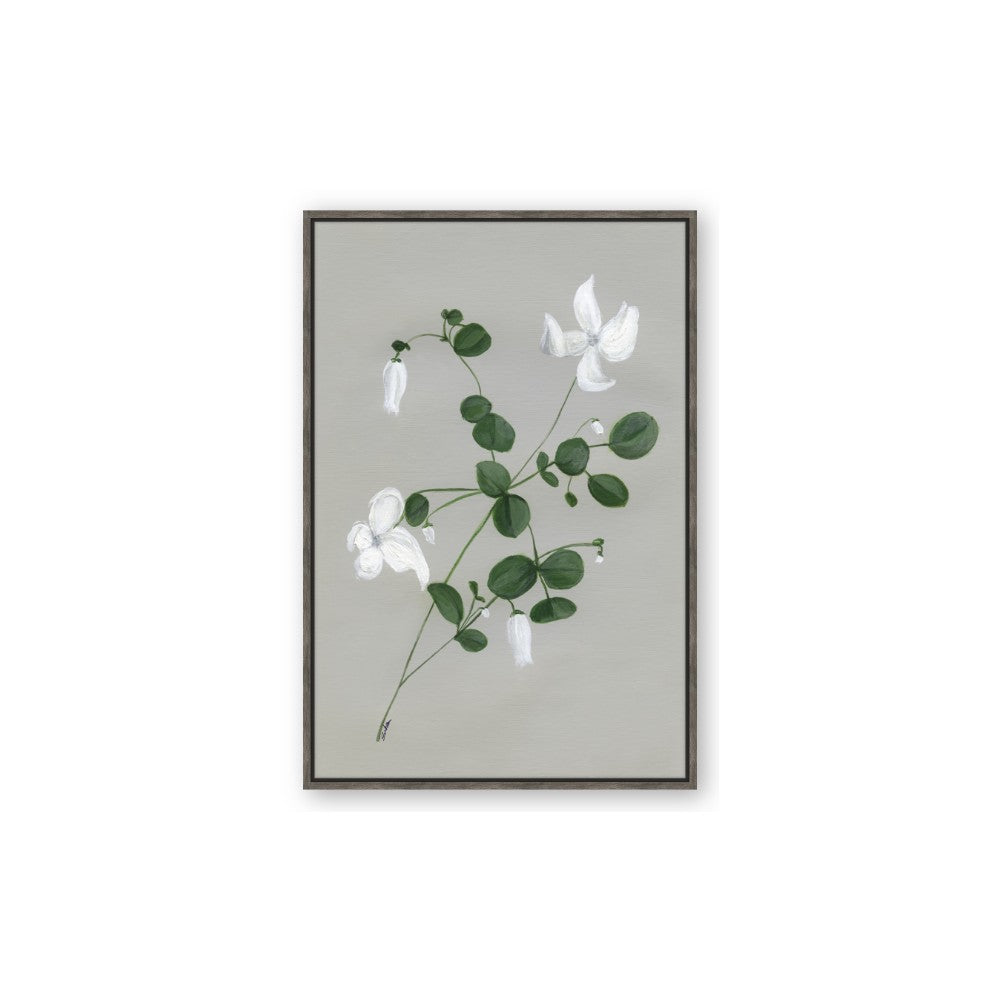 White flower IV