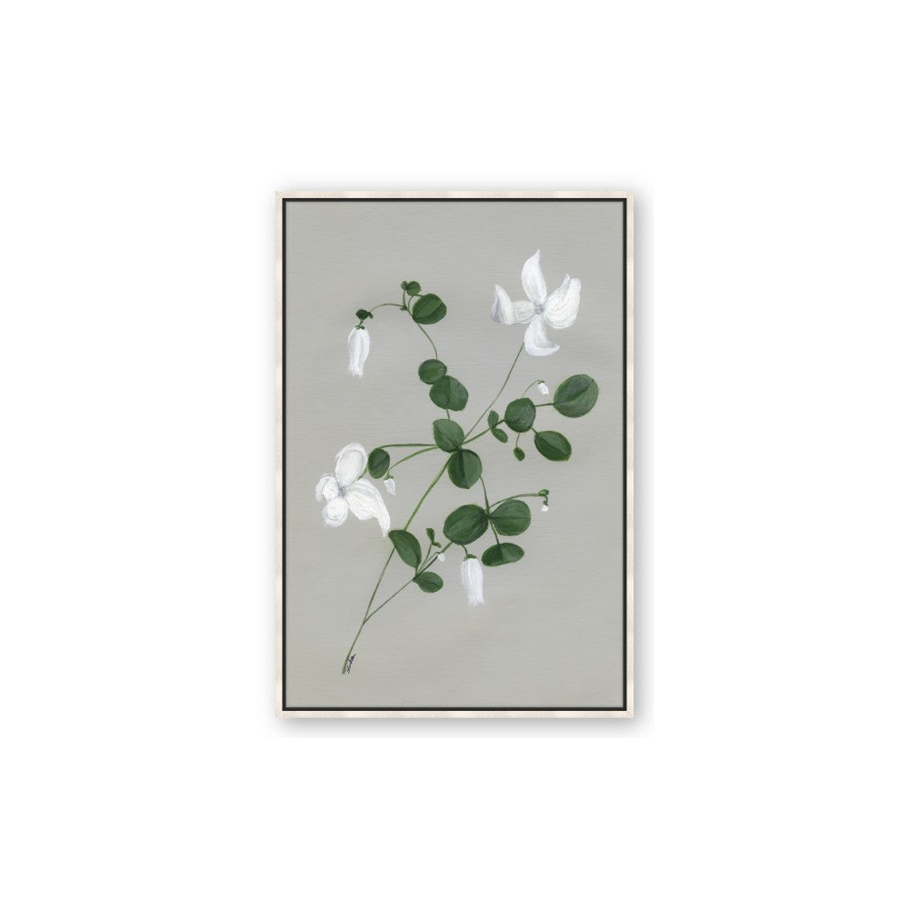 White flower IV