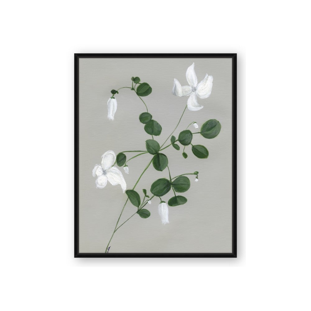 White flower IV