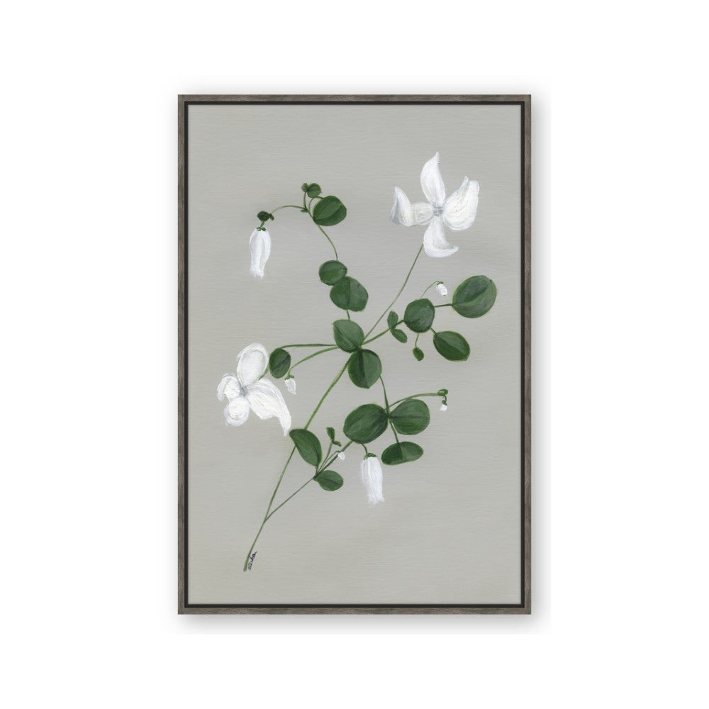 White flower IV