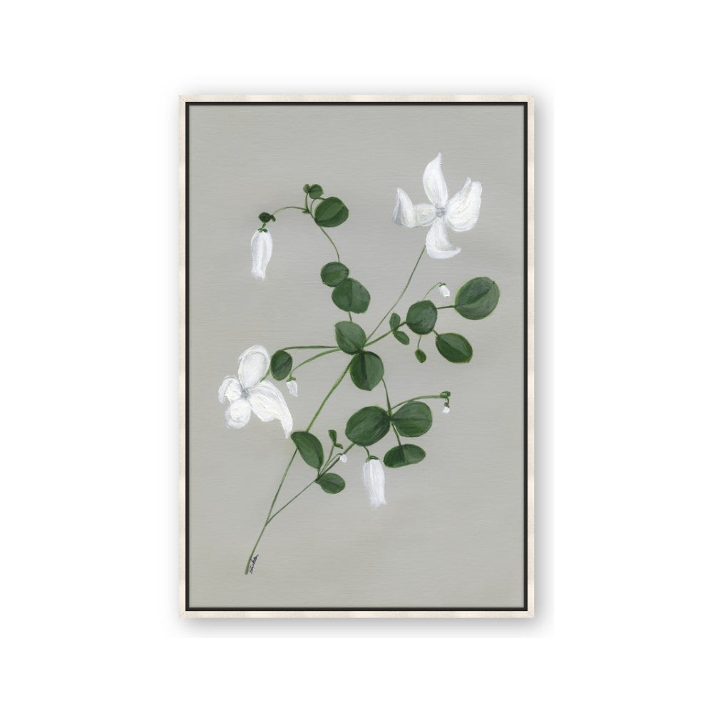 White flower IV