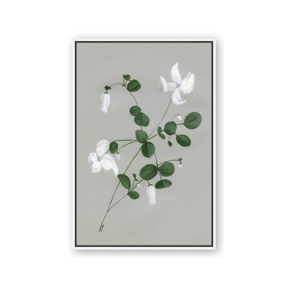White flower IV