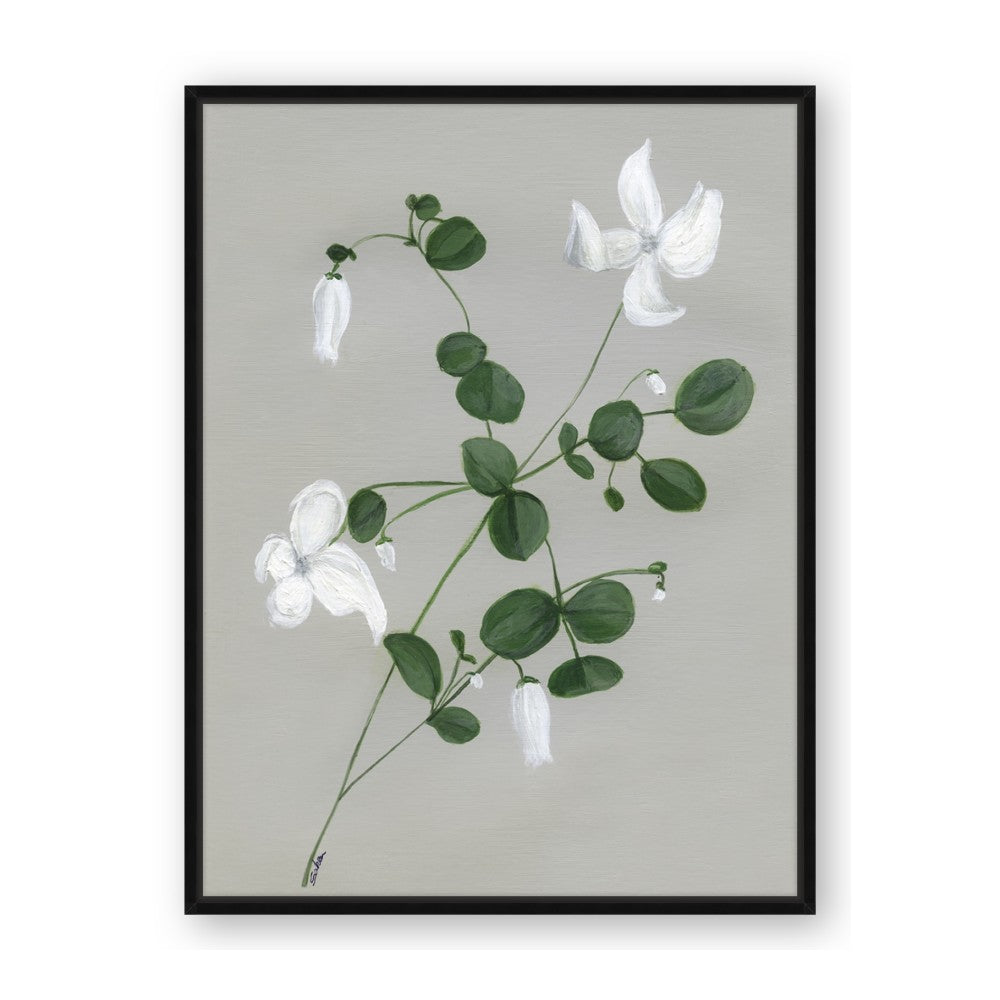 White flower IV