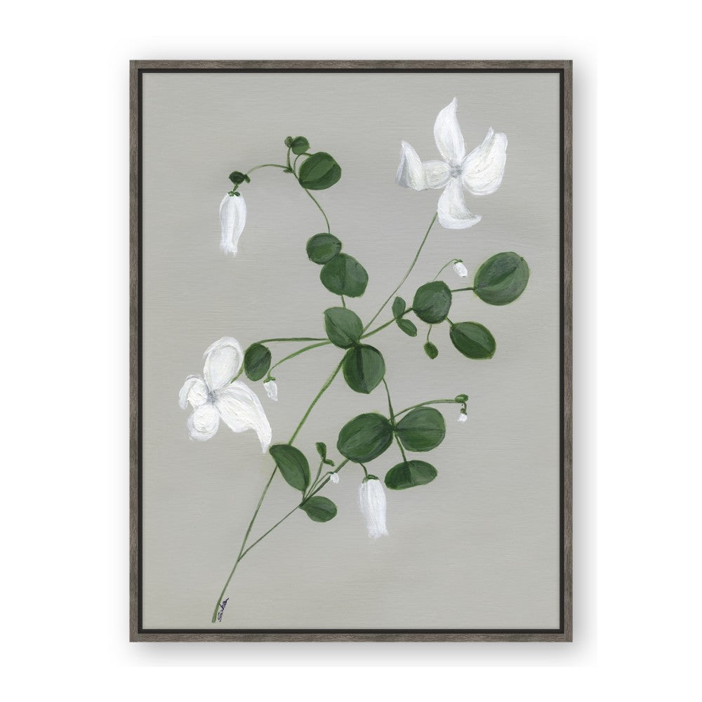 White flower IV