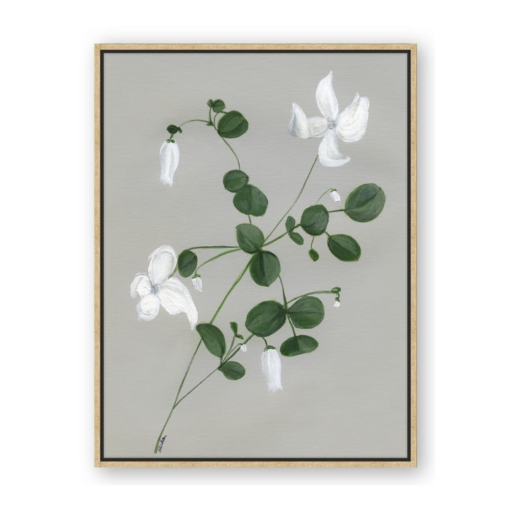 White flower IV