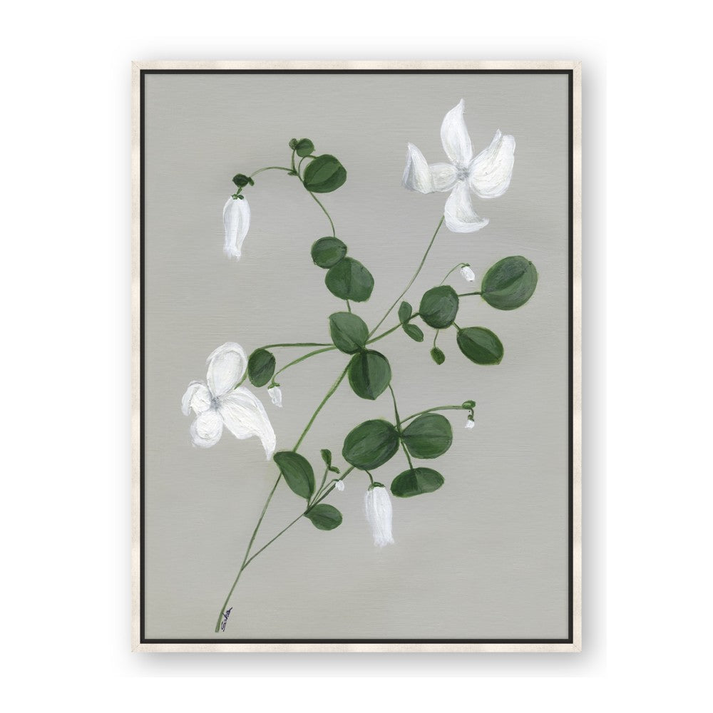 White flower IV