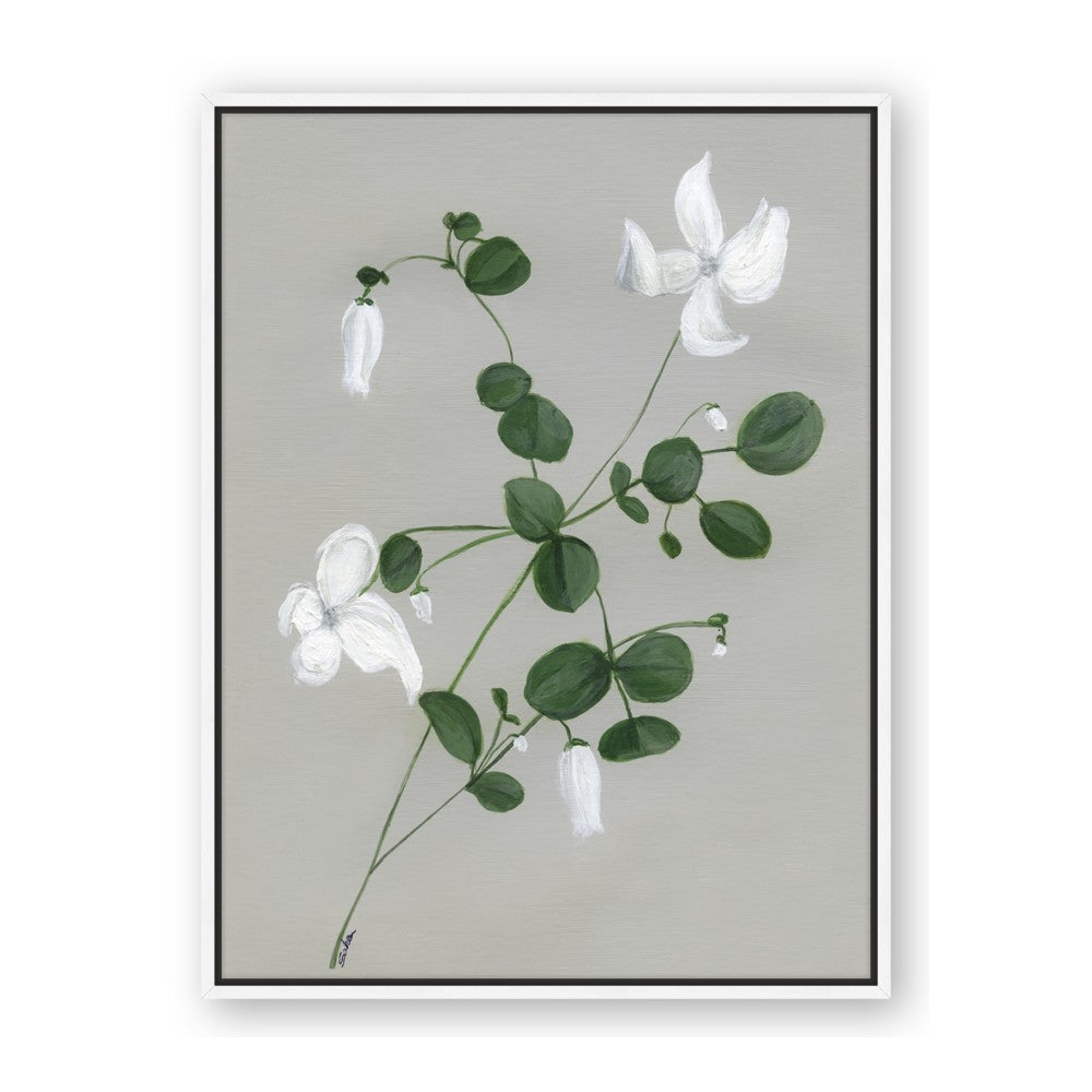 White flower IV