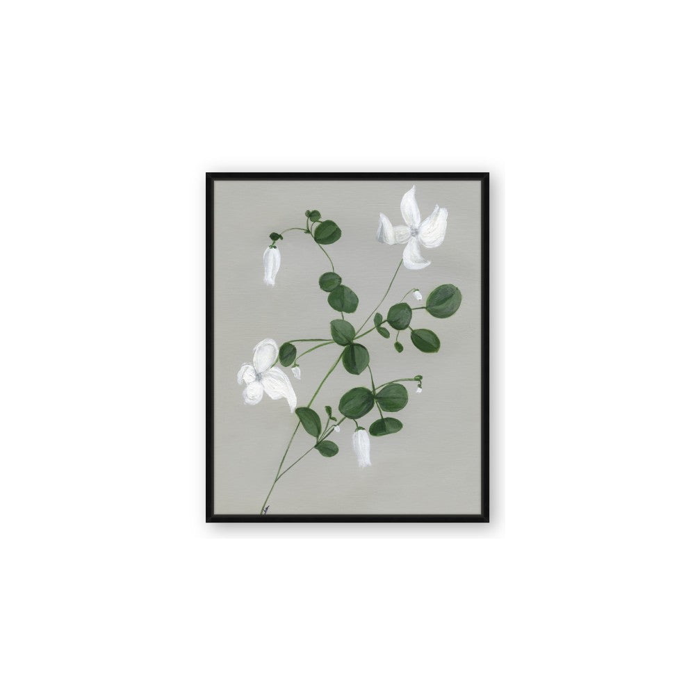 White flower IV