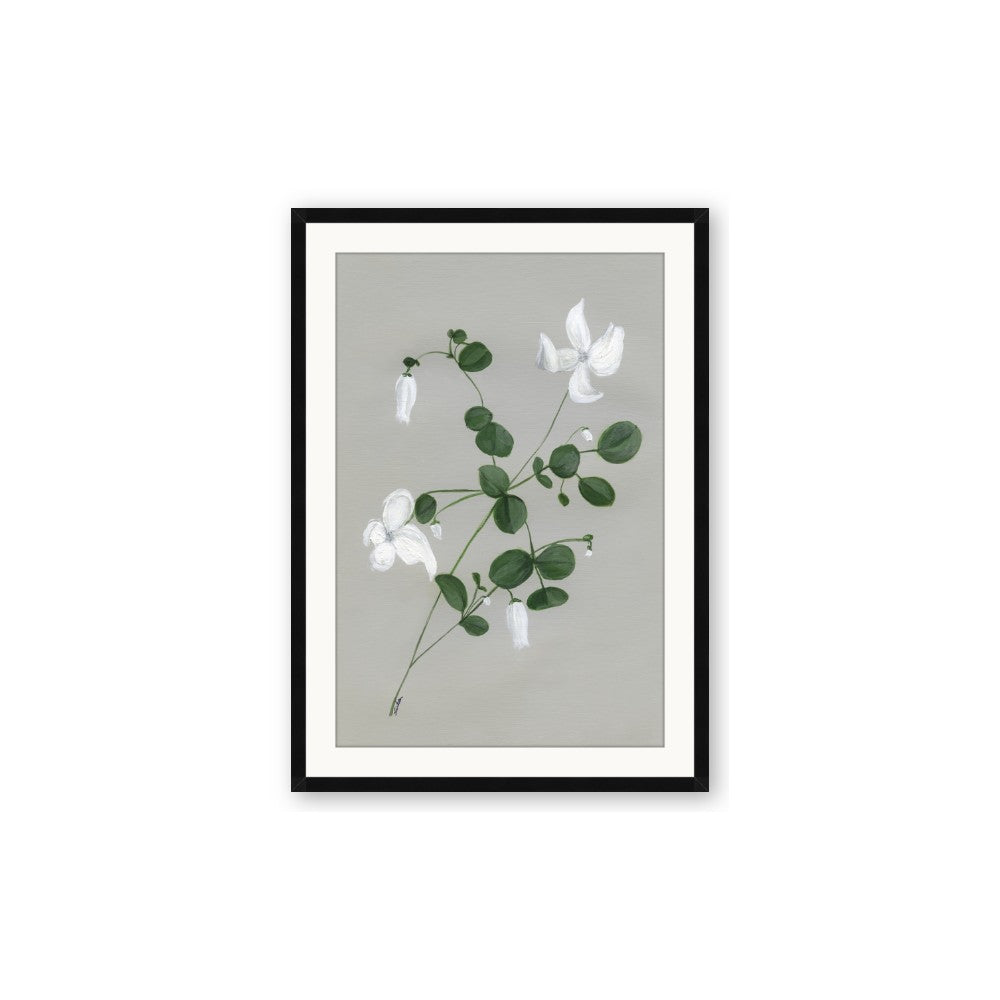 White flower IV