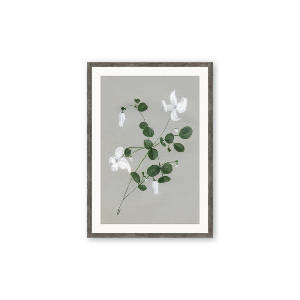 White flower IV
