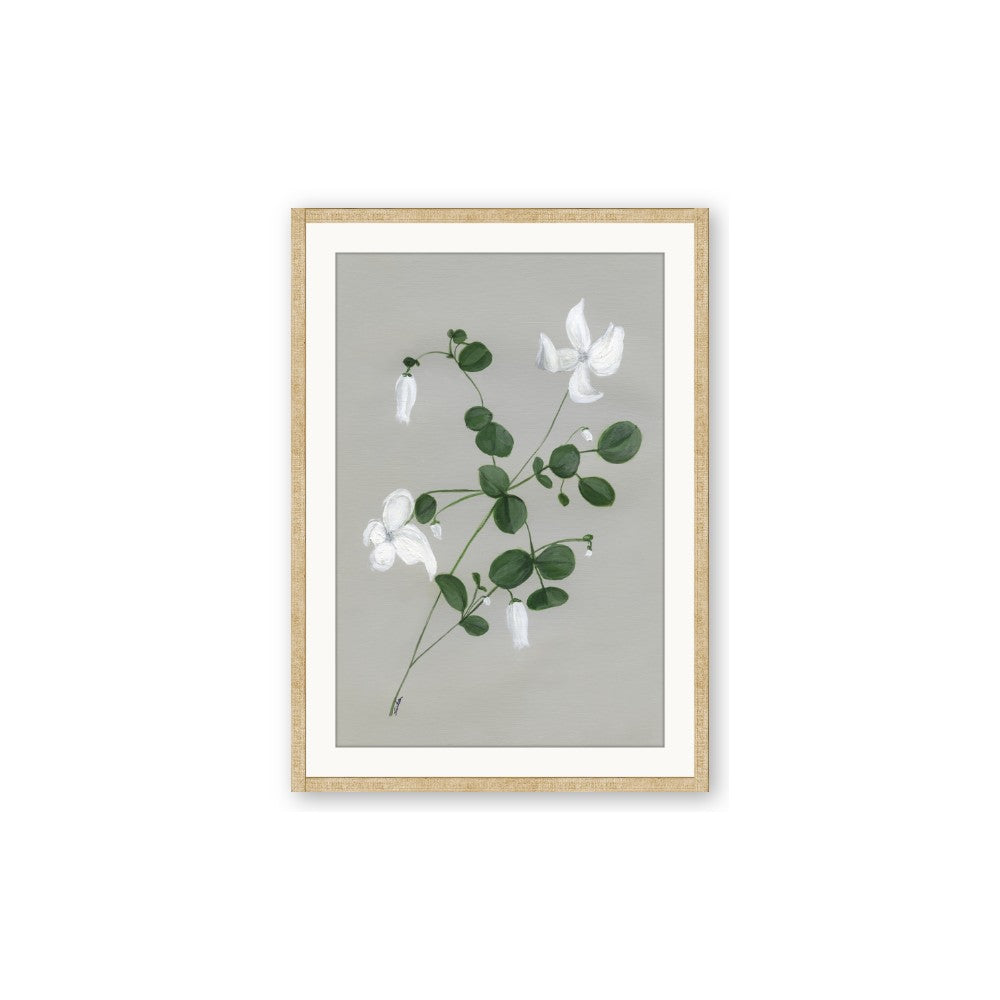 White flower IV