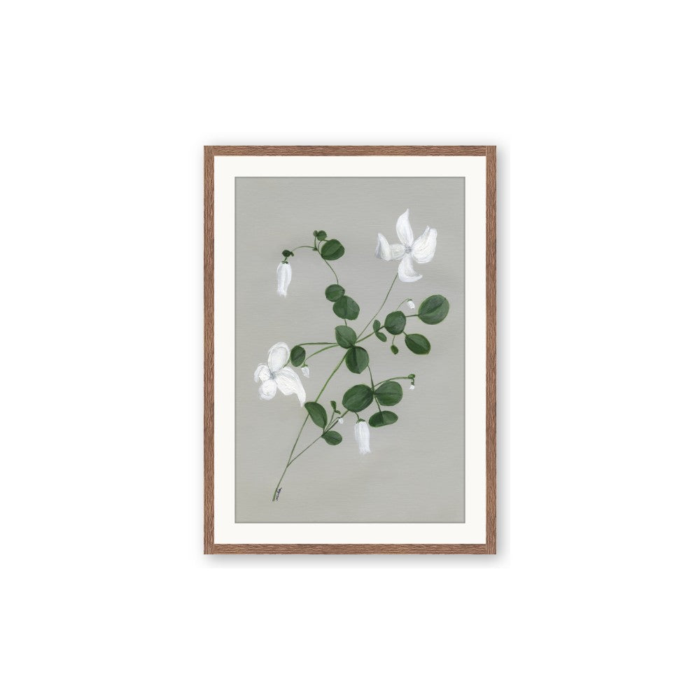 White flower IV