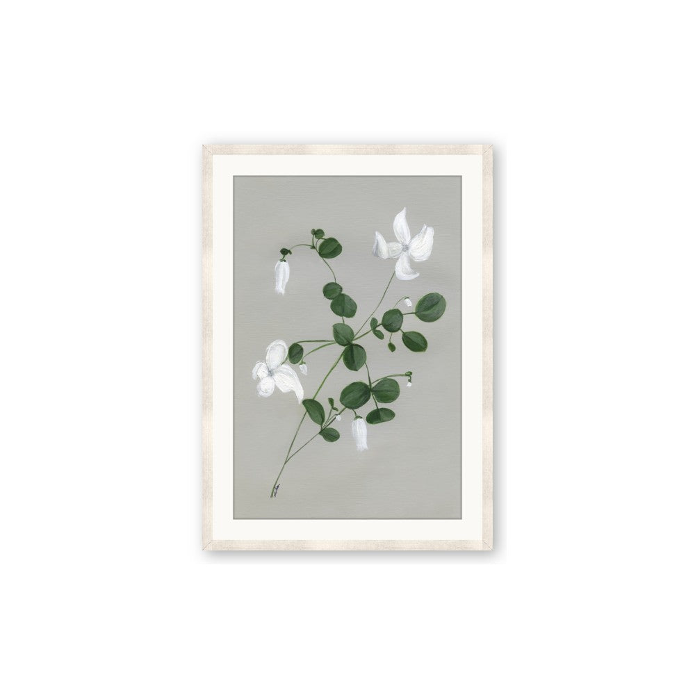 White flower IV