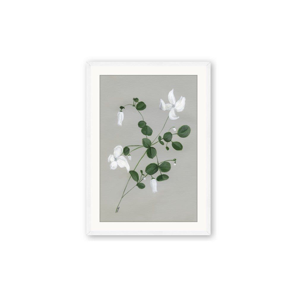 White flower IV