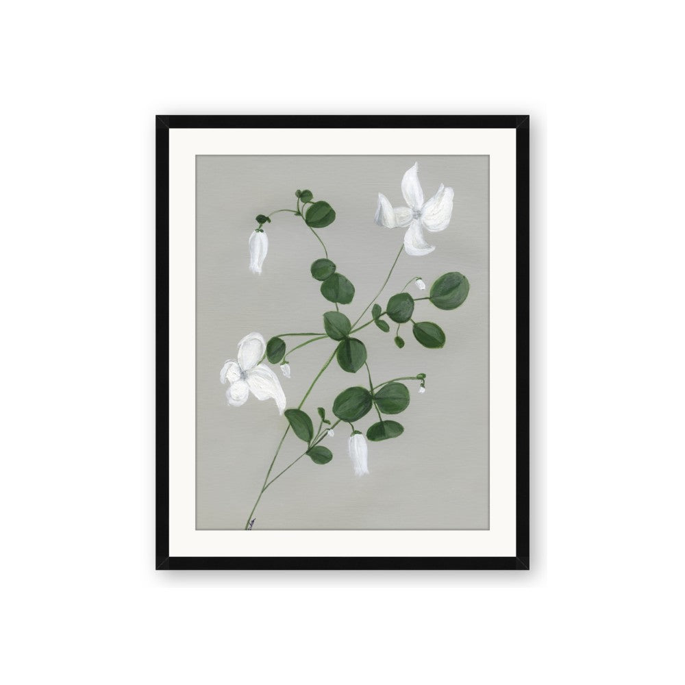 White flower IV
