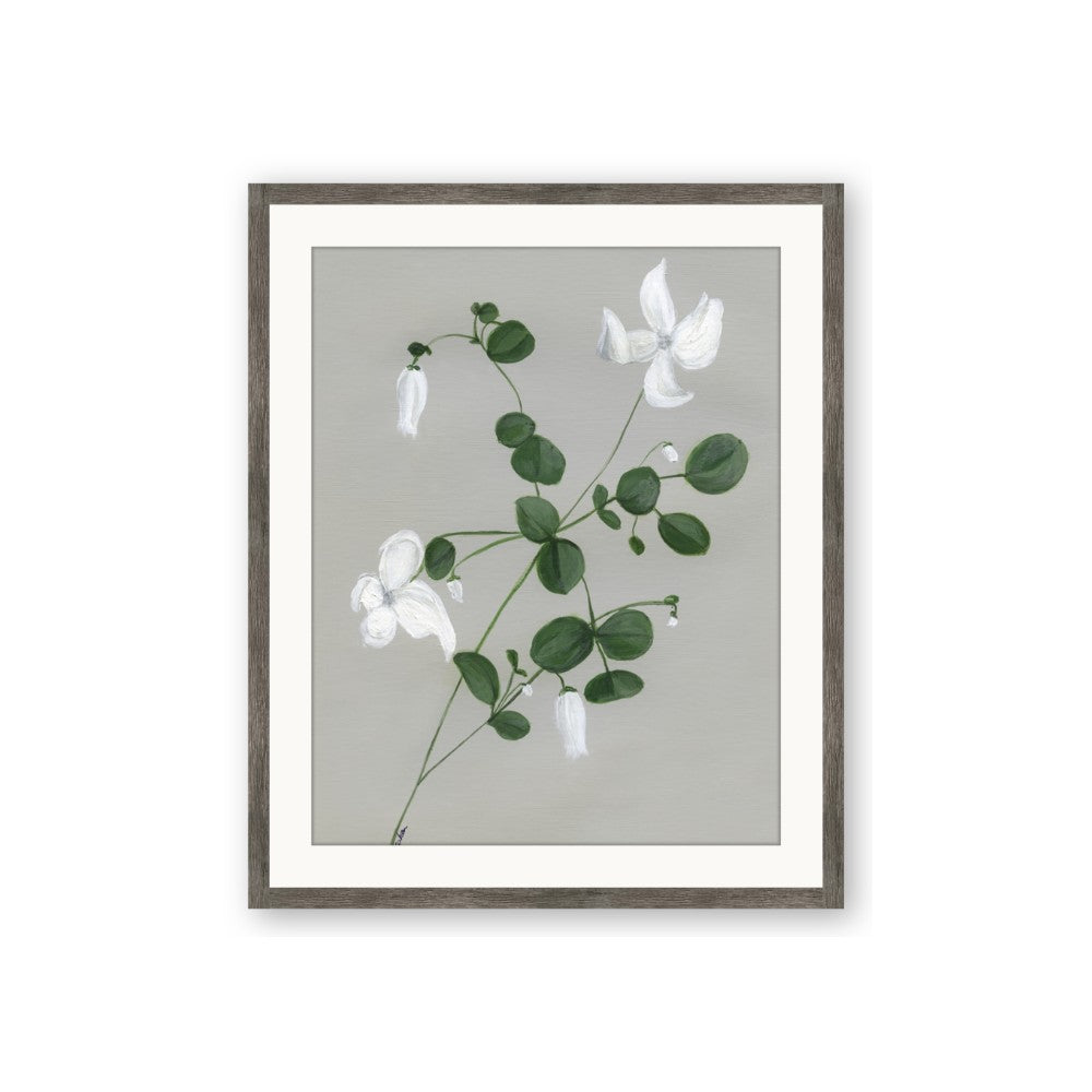 White flower IV