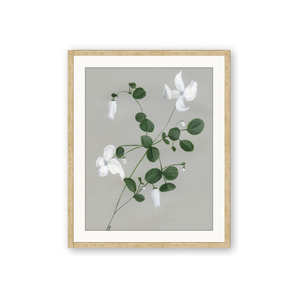 White flower IV
