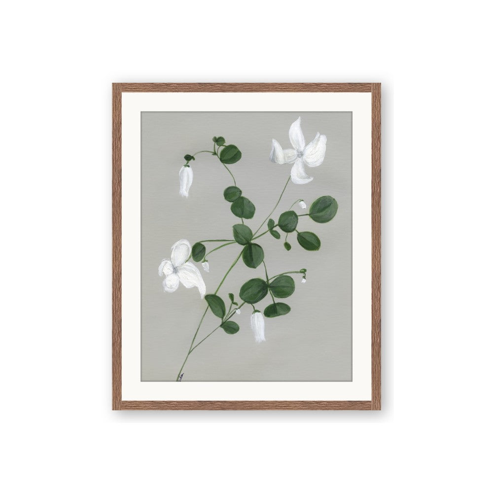 White flower IV