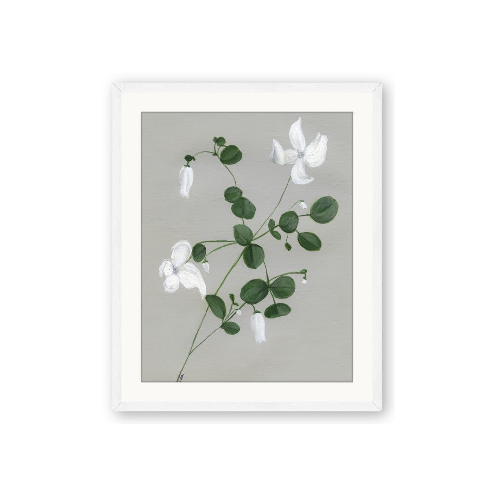 White flower IV