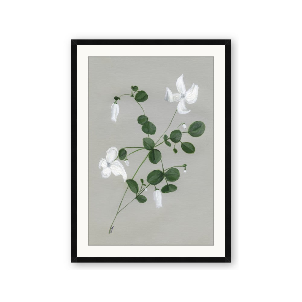 White flower IV