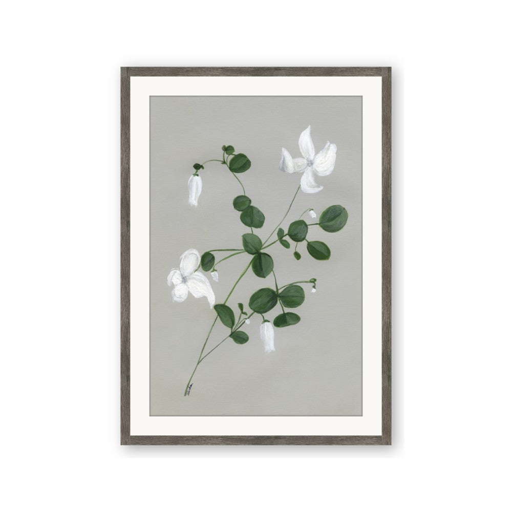 White flower IV