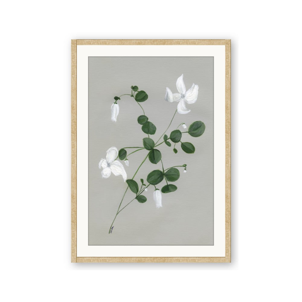 White flower IV