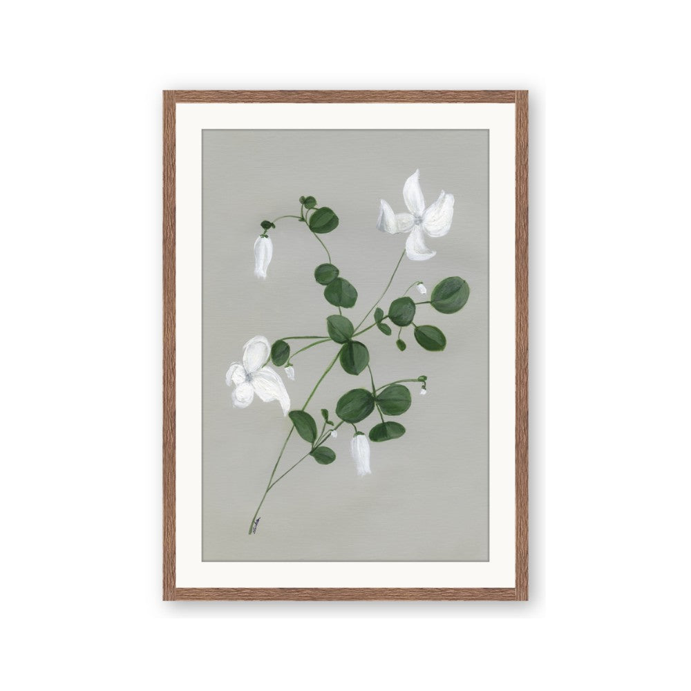 White flower IV