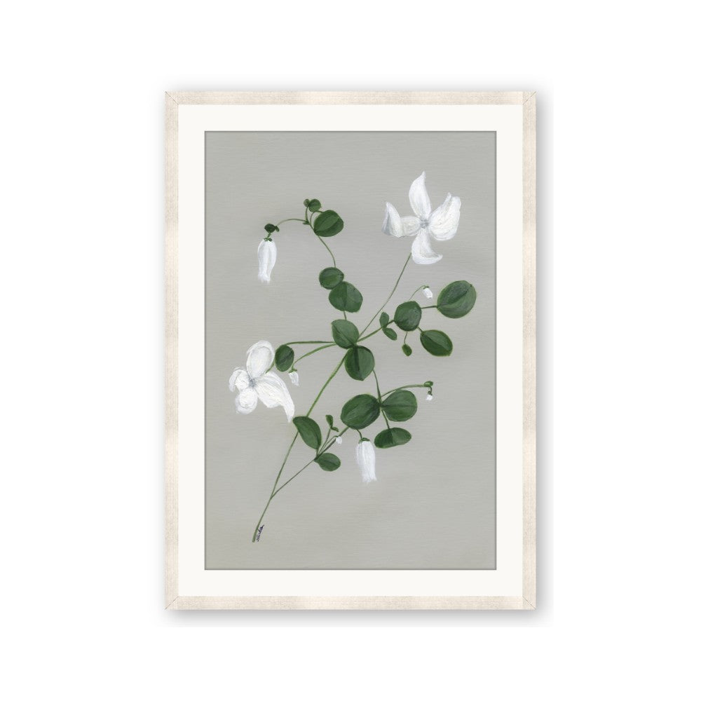 White flower IV