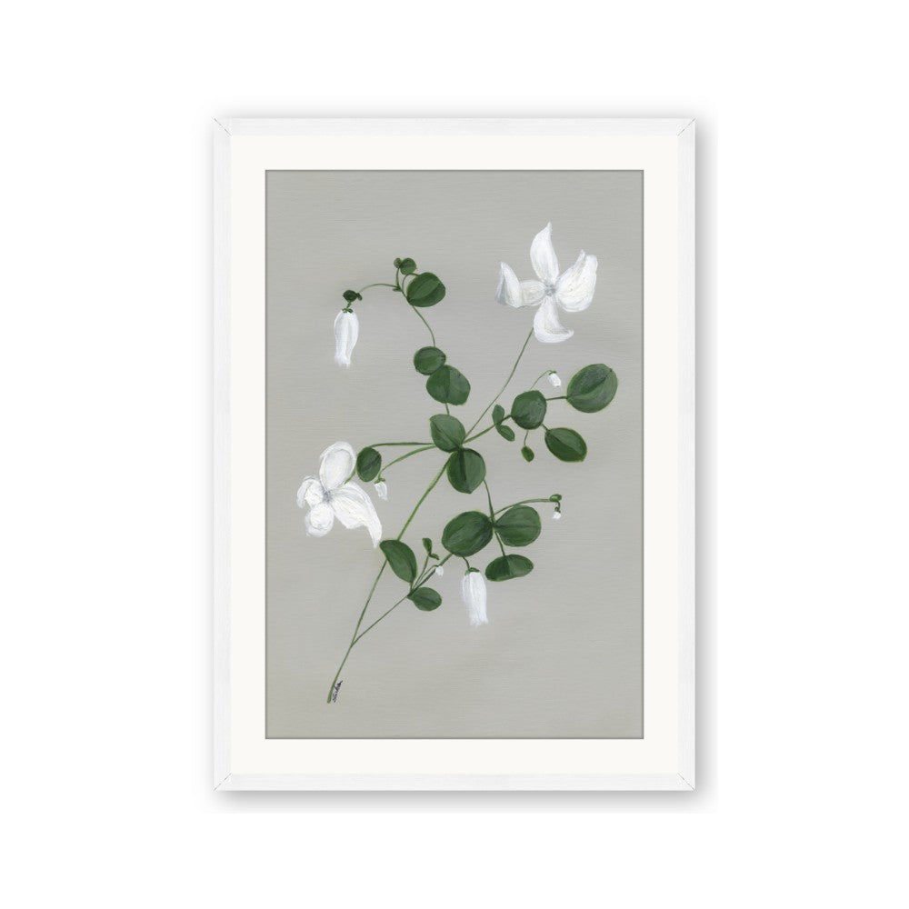 White flower IV
