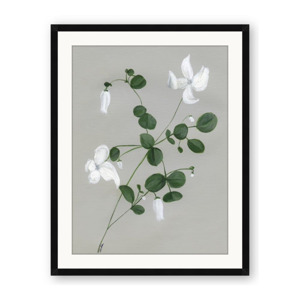 White flower IV