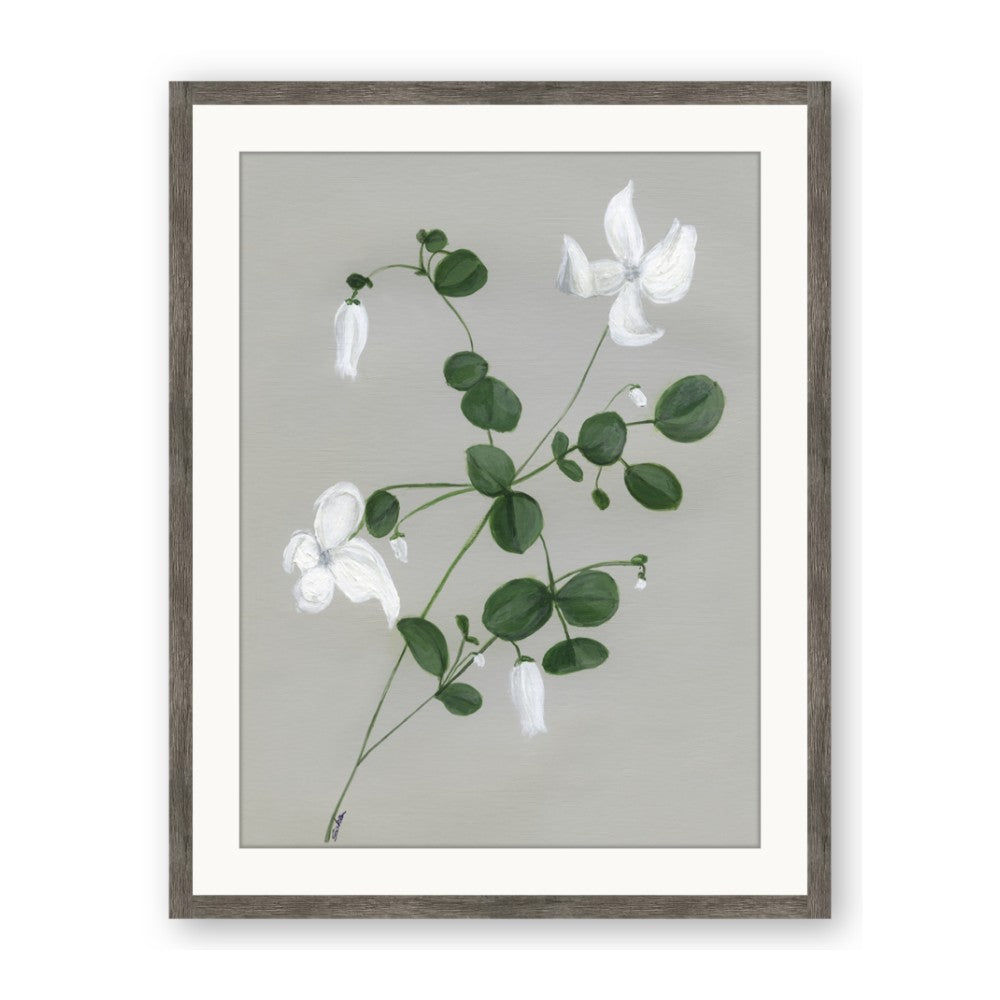 White flower IV