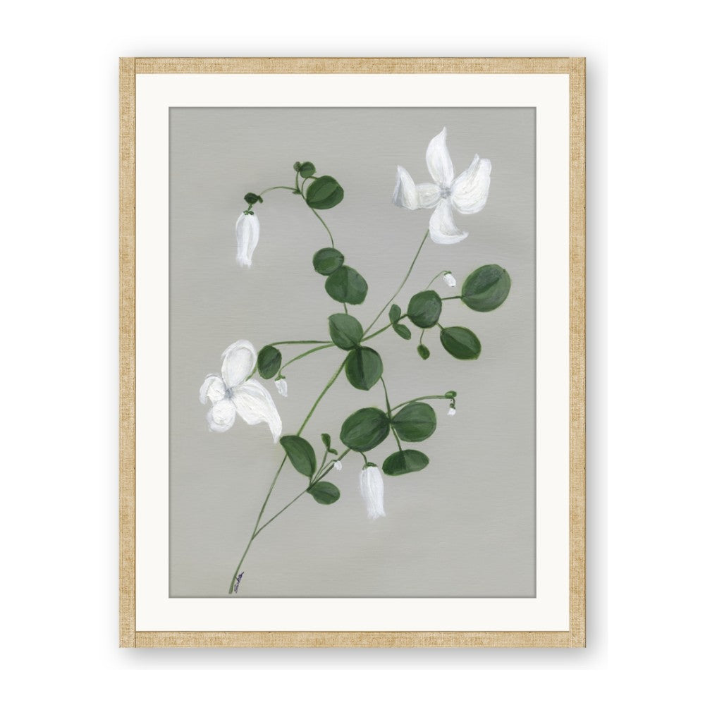White flower IV